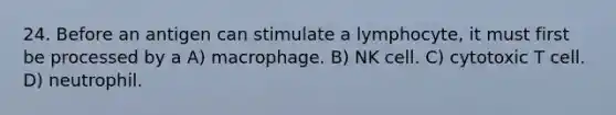 24. Before an antigen can stimulate a lymphocyte, it must first be processed by a A) macrophage. B) NK cell. C) cytotoxic T cell. D) neutrophil.