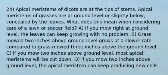 24) Apical meristems of dicots are at the tips of stems. Apical meristems of grasses are at ground level or slightly below, concealed by the leaves. What does this mean when considering care of a lawn or soccer field? A) If you mow right at ground level, the leaves can keep growing with no problem. B) Grass mowed two inches above ground level grows at a slower rate compared to grass mowed three inches above the ground level. C) If you mow two inches above ground level, most apical meristems will be cut down. D) If you mow two inches above ground level, the apical meristem can keep producing new cells.