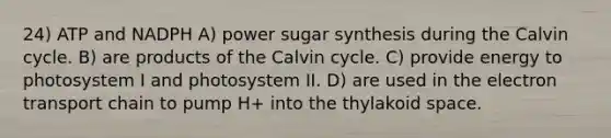 24) ATP and NADPH A) power sugar synthesis during the Calvin cycle. B) are products of the Calvin cycle. C) provide energy to photosystem I and photosystem II. D) are used in the electron transport chain to pump H+ into the thylakoid space.