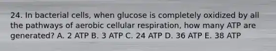 24. In bacterial cells, when glucose is completely oxidized by all the pathways of aerobic cellular respiration, how many ATP are generated? A. 2 ATP B. 3 ATP C. 24 ATP D. 36 ATP E. 38 ATP