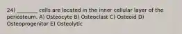 24) ________ cells are located in the inner cellular layer of the periosteum. A) Osteocyte B) Osteoclast C) Osteoid D) Osteoprogenitor E) Osteolytic