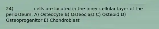 24) ________ cells are located in the inner cellular layer of the periosteum. A) Osteocyte B) Osteoclast C) Osteoid D) Osteoprogenitor E) Chondroblast