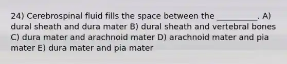 24) Cerebrospinal fluid fills the space between the __________. A) dural sheath and dura mater B) dural sheath and vertebral bones C) dura mater and arachnoid mater D) arachnoid mater and pia mater E) dura mater and pia mater