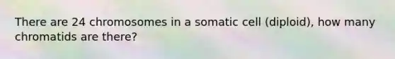 There are 24 chromosomes in a somatic cell (diploid), how many chromatids are there?