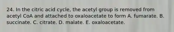 24. In the citric acid cycle, the acetyl group is removed from acetyl CoA and attached to oxaloacetate to form A. fumarate. B. succinate. C. citrate. D. malate. E. oxaloacetate.