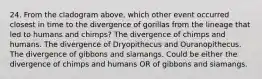 24. From the cladogram above, which other event occurred closest in time to the divergence of gorillas from the lineage that led to humans and chimps? The divergence of chimps and humans. The divergence of Dryopithecus and Ouranopithecus. The divergence of gibbons and siamangs. Could be either the divergence of chimps and humans OR of gibbons and siamangs.