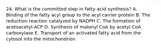 24. What is the committed step in fatty acid synthesis? A. Binding of the fatty acyl group to the acyl carrier protein B. The reduction reaction catalyzed by NADPH C. The formation of acetoacetyl-ACP D. Synthesis of malonyl CoA by acetyl CoA carboxylase E. Transport of an activated fatty acid from the cytosol into the mitochondrion