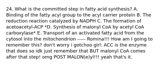 24. What is the committed step in fatty acid synthesis? A. Binding of the fatty acyl group to the acyl carrier protein B. The reduction reaction catalyzed by NADPH C. The formation of acetoacetyl-ACP *D. Synthesis of malonyl CoA by acetyl CoA carboxylase* E. Transport of an activated fatty acid from the cytosol into the mitochondrion ----- Romina!!! How am I going to remember this? don't worry i gotchoo girl: ACC is the enzyme that does so idk just remember that BUT malonyl CoA comes after that step! omg POST MALON(e)yl!!! yeah that's it.