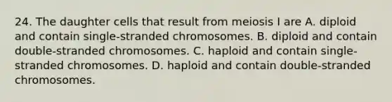 24. The daughter cells that result from meiosis I are A. diploid and contain single-stranded chromosomes. B. diploid and contain double-stranded chromosomes. C. haploid and contain single-stranded chromosomes. D. haploid and contain double-stranded chromosomes.