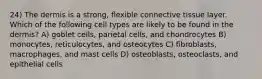 24) The dermis is a strong, flexible connective tissue layer. Which of the following cell types are likely to be found in the dermis? A) goblet cells, parietal cells, and chondrocytes B) monocytes, reticulocytes, and osteocytes C) fibroblasts, macrophages, and mast cells D) osteoblasts, osteoclasts, and epithelial cells