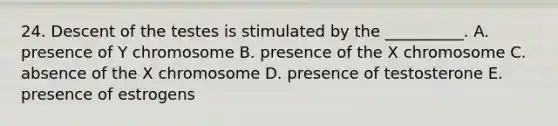 24. Descent of the testes is stimulated by the __________. A. presence of Y chromosome B. presence of the X chromosome C. absence of the X chromosome D. presence of testosterone E. presence of estrogens