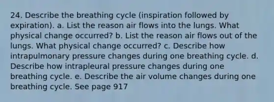 24. Describe the breathing cycle (inspiration followed by expiration). a. List the reason air flows into the lungs. What physical change occurred? b. List the reason air flows out of the lungs. What physical change occurred? c. Describe how intrapulmonary pressure changes during one breathing cycle. d. Describe how intrapleural pressure changes during one breathing cycle. e. Describe the air volume changes during one breathing cycle. See page 917