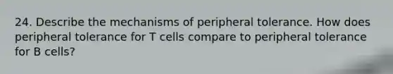 24. Describe the mechanisms of peripheral tolerance. How does peripheral tolerance for T cells compare to peripheral tolerance for B cells?