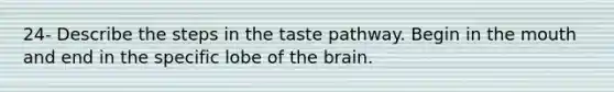 24- Describe the steps in the taste pathway. Begin in the mouth and end in the specific lobe of the brain.