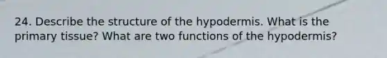 24. Describe the structure of the hypodermis. What is the primary tissue? What are two functions of the hypodermis?