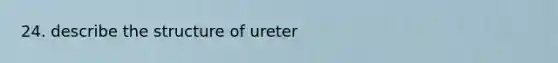 24. describe the structure of ureter