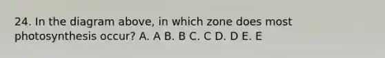 24. In the diagram above, in which zone does most photosynthesis occur? A. A B. B C. C D. D E. E