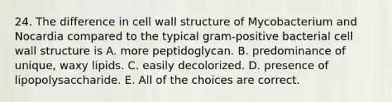 24. The difference in cell wall structure of Mycobacterium and Nocardia compared to the typical gram-positive bacterial cell wall structure is A. more peptidoglycan. B. predominance of unique, waxy lipids. C. easily decolorized. D. presence of lipopolysaccharide. E. All of the choices are correct.