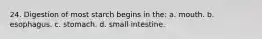 24. Digestion of most starch begins in the: a. mouth. b. esophagus. c. stomach. d. small intestine.