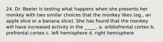 24. Dr. Beeler is testing what happens when she presents her monkey with two similar choices that the monkey likes (eg., an apple slice or a banana slice). She has found that the monkey will have increased activity in the _____. a. orbitofrontal cortex b. prefrontal cortex c. left hemisphere d. right hemisphere