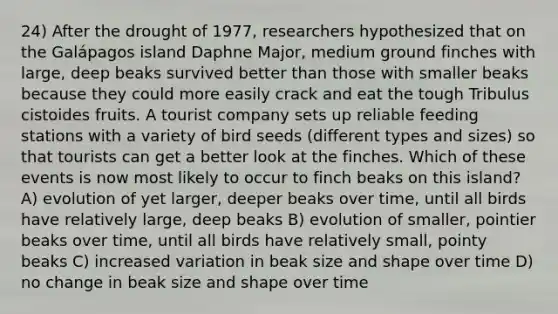 24) After the drought of 1977, researchers hypothesized that on the Galápagos island Daphne Major, medium ground finches with large, deep beaks survived better than those with smaller beaks because they could more easily crack and eat the tough Tribulus cistoides fruits. A tourist company sets up reliable feeding stations with a variety of bird seeds (different types and sizes) so that tourists can get a better look at the finches. Which of these events is now most likely to occur to finch beaks on this island? A) evolution of yet larger, deeper beaks over time, until all birds have relatively large, deep beaks B) evolution of smaller, pointier beaks over time, until all birds have relatively small, pointy beaks C) increased variation in beak size and shape over time D) no change in beak size and shape over time