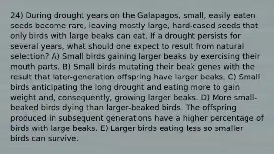 24) During drought years on the Galapagos, small, easily eaten seeds become rare, leaving mostly large, hard-cased seeds that only birds with large beaks can eat. If a drought persists for several years, what should one expect to result from natural selection? A) Small birds gaining larger beaks by exercising their mouth parts. B) Small birds mutating their beak genes with the result that later-generation offspring have larger beaks. C) Small birds anticipating the long drought and eating more to gain weight and, consequently, growing larger beaks. D) More small-beaked birds dying than larger-beaked birds. The offspring produced in subsequent generations have a higher percentage of birds with large beaks. E) Larger birds eating less so smaller birds can survive.