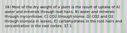 24) Most of the dry weight of a plant is the result of uptake of A) water and minerals through root hairs. B) water and minerals through mycorrhizae. C) CO2 through stoma. D) CO2 and O2 through stomata in leaves. E) carbohydrates in the root hairs and concentration in the root cortex. 37.1