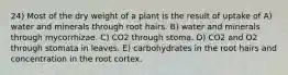 24) Most of the dry weight of a plant is the result of uptake of A) water and minerals through root hairs. B) water and minerals through mycorrhizae. C) CO2 through stoma. D) CO2 and O2 through stomata in leaves. E) carbohydrates in the root hairs and concentration in the root cortex.