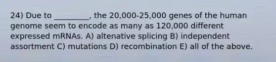 24) Due to _________, the 20,000-25,000 genes of the human genome seem to encode as many as 120,000 different expressed mRNAs. A) altenative splicing B) independent assortment C) mutations D) recombination E) all of the above.