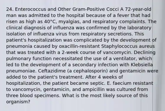 24. Enterococcus and Other Gram-Positive Cocci A 72-year-old man was admitted to the hospital because of a fever that had risen as high as 40°C, myalgias, and respiratory complaints. The clinical diagnosis of influenza was confirmed by the laboratory isolation of influenza virus from respiratory secretions. This patient's hospitalization was complicated by the development of pneumonia caused by oxacillin-resistant Staphylococcus aureus that was treated with a 2-week course of vancomycin. Declining pulmonary function necessitated the use of a ventilator, which led to the development of a secondary infection with Klebsiella pneumoniae. Ceftazidime (a cephalosporin) and gentamicin were added to the patient's treatment. After 4 weeks of hospitalization, the patient became septic. E. faecium resistant to vancomycin, gentamicin, and ampicillin was cultured from three blood specimens. What is the most likely source of this organism?