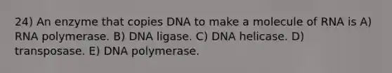 24) An enzyme that copies DNA to make a molecule of RNA is A) RNA polymerase. B) DNA ligase. C) DNA helicase. D) transposase. E) DNA polymerase.