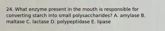 24. What enzyme present in the mouth is responsible for converting starch into small polysaccharides? A. amylase B. maltase C. lactase D. polypeptidase E. lipase