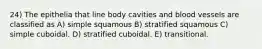 24) The epithelia that line body cavities and blood vessels are classified as A) simple squamous B) stratified squamous C) simple cuboidal. D) stratified cuboidal. E) transitional.