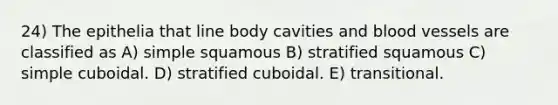 24) The epithelia that line body cavities and blood vessels are classified as A) simple squamous B) stratified squamous C) simple cuboidal. D) stratified cuboidal. E) transitional.