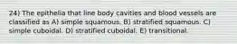 24) The epithelia that line body cavities and blood vessels are classified as A) simple squamous. B) stratified squamous. C) simple cuboidal. D) stratified cuboidal. E) transitional.