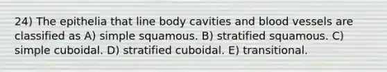 24) The epithelia that line body cavities and blood vessels are classified as A) simple squamous. B) stratified squamous. C) simple cuboidal. D) stratified cuboidal. E) transitional.