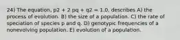 24) The equation, p2 + 2 pq + q2 = 1.0, describes A) the process of evolution. B) the size of a population. C) the rate of speciation of species p and q. D) genotypic frequencies of a nonevolving population. E) evolution of a population.