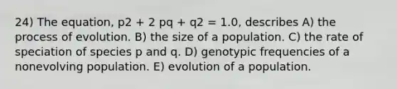 24) The equation, p2 + 2 pq + q2 = 1.0, describes A) the process of evolution. B) the size of a population. C) the rate of speciation of species p and q. D) genotypic frequencies of a nonevolving population. E) evolution of a population.