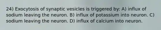 24) Exocytosis of synaptic vesicles is triggered by: A) influx of sodium leaving the neuron. B) influx of potassium into neuron. C) sodium leaving the neuron. D) influx of calcium into neuron.