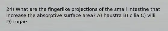 24) What are the fingerlike projections of the small intestine that increase the absorptive surface area? A) haustra B) cilia C) villi D) rugae