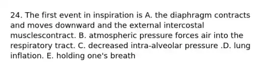 24. The first event in inspiration is A. the diaphragm contracts and moves downward and the external intercostal musclescontract. B. atmospheric pressure forces air into the respiratory tract. C. decreased intra-alveolar pressure .D. lung inflation. E. holding one's breath