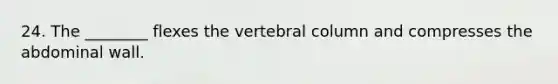 24. The ________ flexes the vertebral column and compresses the abdominal wall.