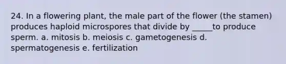 24. In a flowering plant, the male part of the flower (the stamen) produces haploid microspores that divide by _____to produce sperm. a. mitosis b. meiosis c. gametogenesis d. spermatogenesis e. fertilization