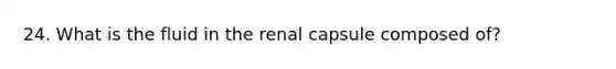 24. What is the fluid in the renal capsule composed of?