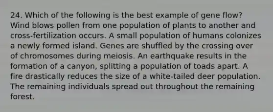 24. Which of the following is the best example of gene flow? Wind blows pollen from one population of plants to another and cross-fertilization occurs. A small population of humans colonizes a newly formed island. Genes are shuffled by the crossing over of chromosomes during meiosis. An earthquake results in the formation of a canyon, splitting a population of toads apart. A fire drastically reduces the size of a white-tailed deer population. The remaining individuals spread out throughout the remaining forest.