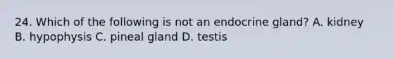 24. Which of the following is not an endocrine gland? A. kidney B. hypophysis C. pineal gland D. testis