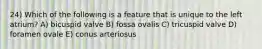 24) Which of the following is a feature that is unique to the left atrium? A) bicuspid valve B) fossa ovalis C) tricuspid valve D) foramen ovale E) conus arteriosus