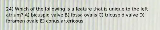 24) Which of the following is a feature that is unique to the left atrium? A) bicuspid valve B) fossa ovalis C) tricuspid valve D) foramen ovale E) conus arteriosus