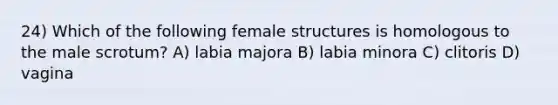 24) Which of the following female structures is homologous to the male scrotum? A) labia majora B) labia minora C) clitoris D) vagina