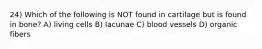 24) Which of the following is NOT found in cartilage but is found in bone? A) living cells B) lacunae C) blood vessels D) organic fibers